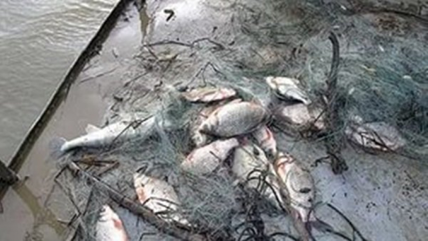 У браконьеров Таганроге изъяли сети и рыбу и транспорт