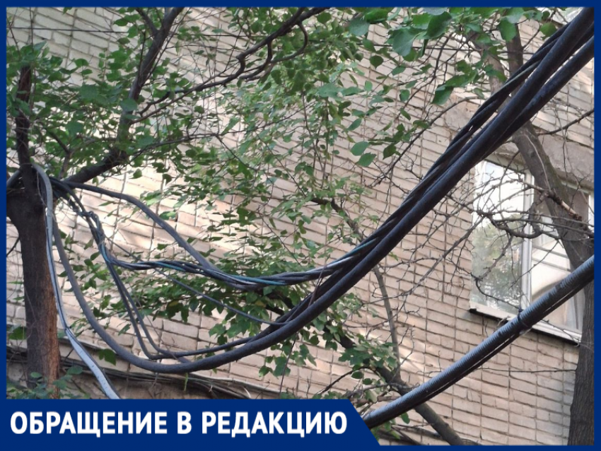 Стараются все, а решения так и нет: опасные провода пугают горожан 