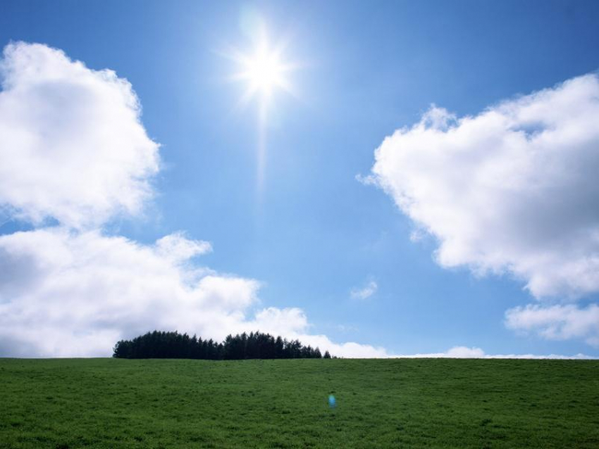 Погода на предстоящую неделю: будет облачно и жарко
