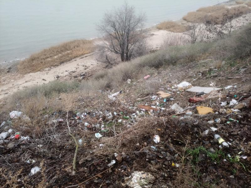 "В Донецке намного чище": «свиньи» загадили вид на море в Таганроге