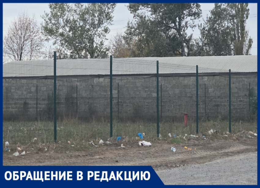 Делают вид, что работают: крик души из таганрогского СНТ