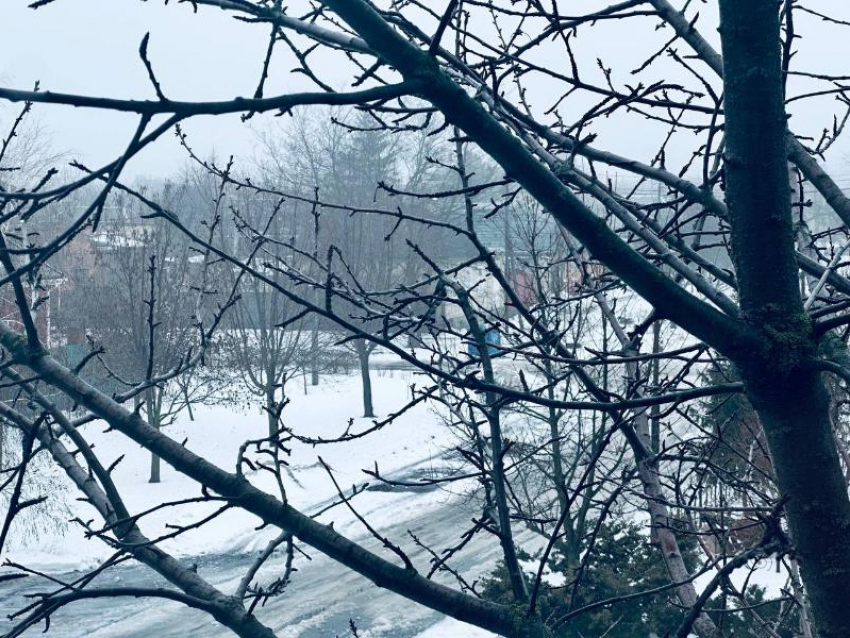 Таганрог накроют температурные качели: от суровых морозов до тумана и тепла