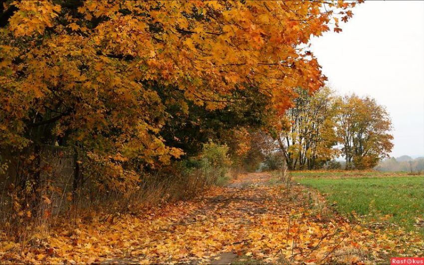 Погода в Таганроге на предстоящие выходные - будет тепло и светло