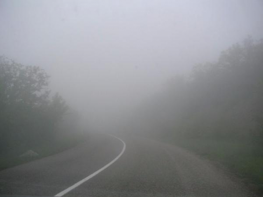 Автомобилистов Таганрога предупреждают о сильном тумане 