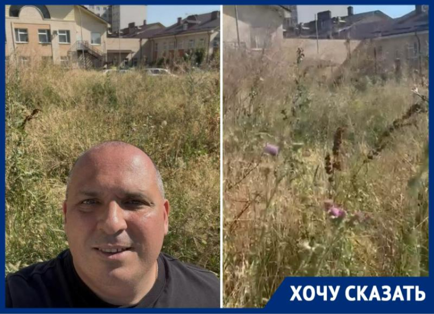 Не ходите, дети, в Африку гулять: детский сад в Таганроге снова тонет в джунглях