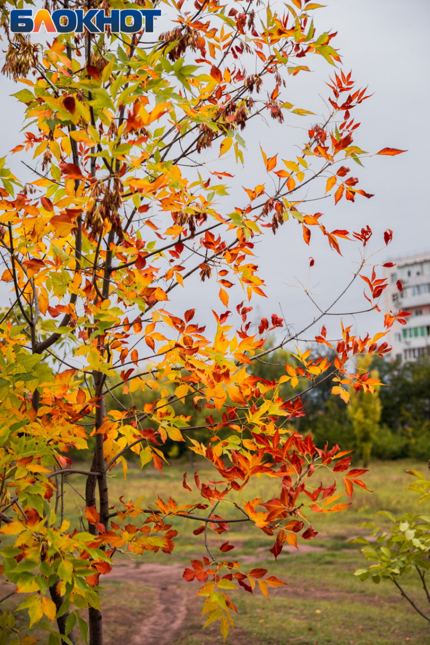 26 ноября — день Иоанна Златоуста: как таганрожцам правильно провести день и чего избегать