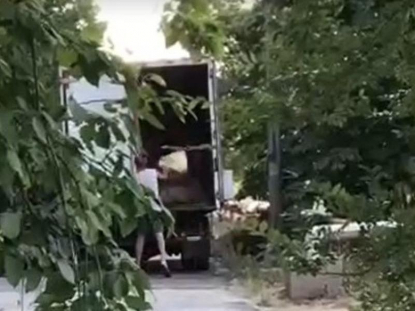 «Мусорные рецидивисты»: штраф на крупную сумму денег не остановил компанию ООО «Экородина»