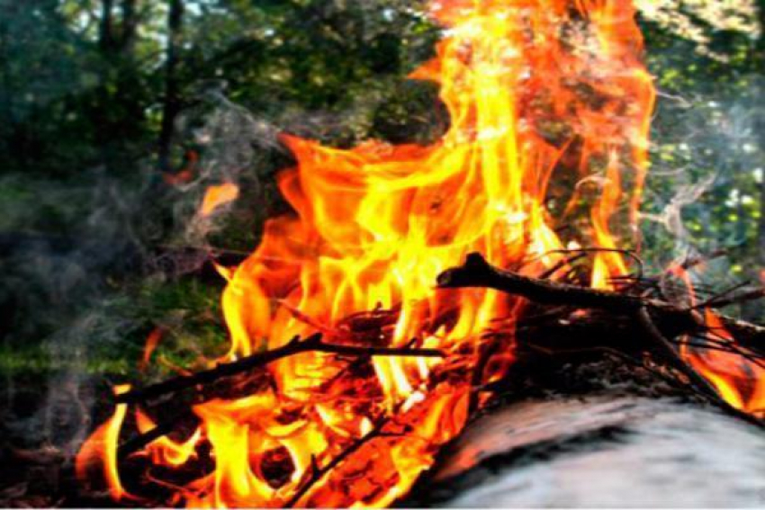 В Таганроге женщина сожгла потенциального родственника