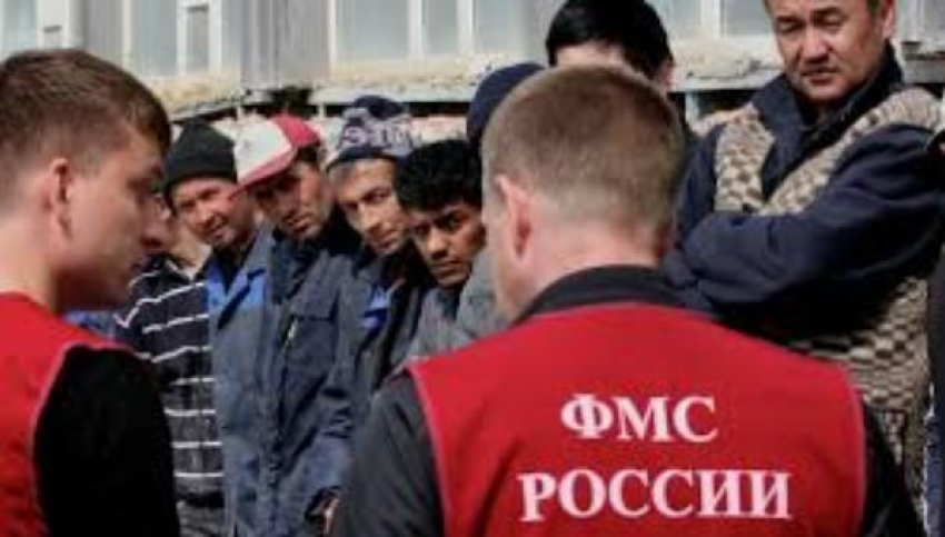 За год в Ростовской области «осели» более 5000 мигрантов