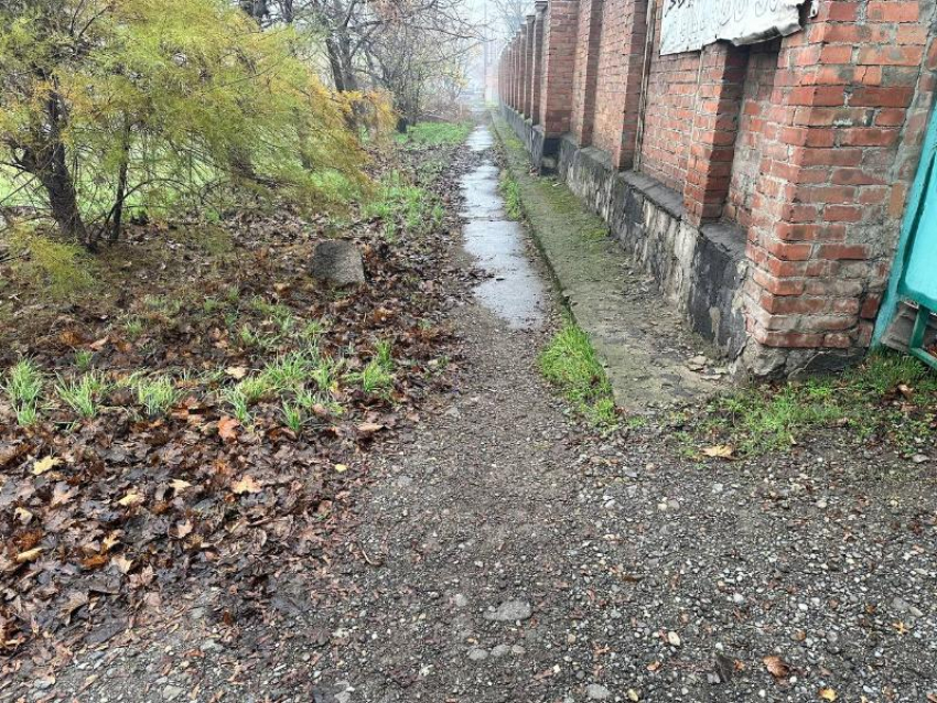 Ходим «лисичьими тропами": поход в магазин в промзоне Таганрога превращается в экстрим