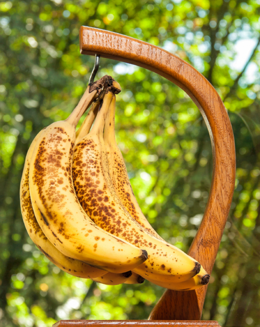 Будут пальмы и бананы? Тропическое потепление накрывает Таганрог