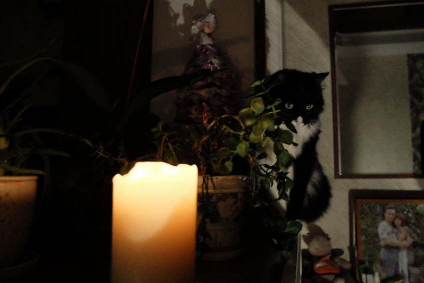 Целый микрорайон Таганрога завтра останется без света