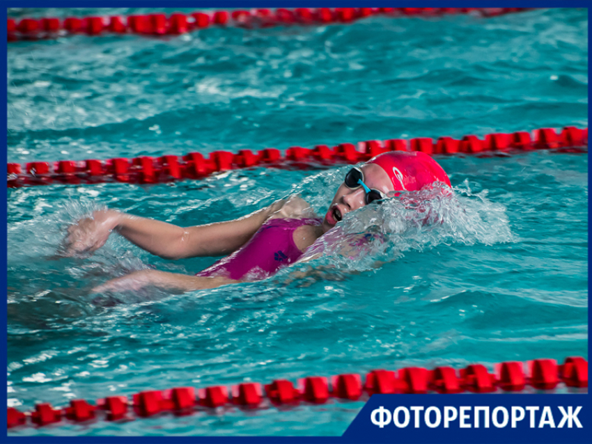 Как проходил Чемпионат Таганрога по плаванию