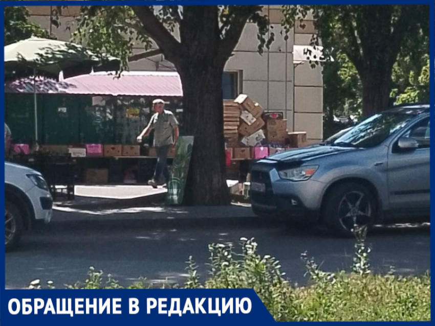 Таганрожцы возмутились нелегальным рынком на 7-м Новом, мешающим пешеходам и водителям, но администрация меры не принимает