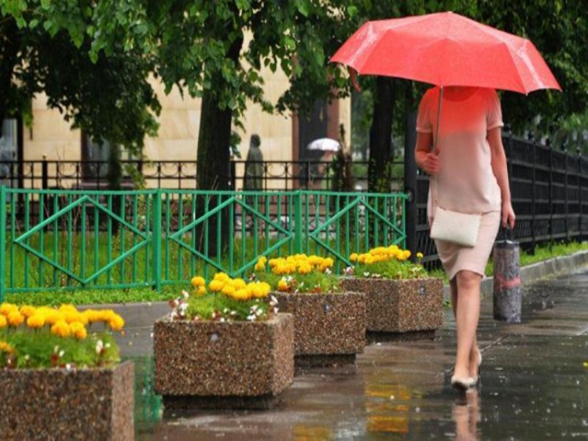 Погода в Таганроге на предстоящие 5 дней: жара и дождь ожидают горожан 