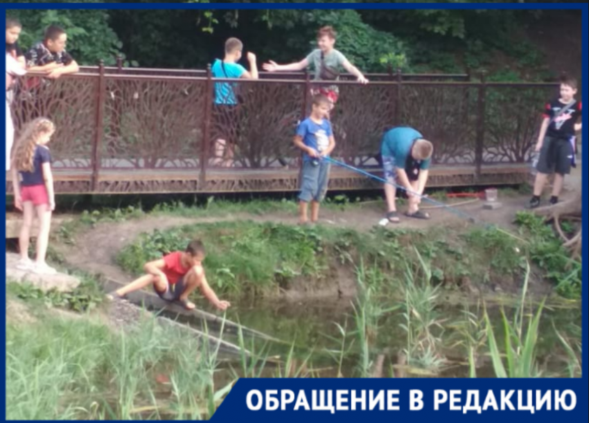 В Таганроге жестокие дети ловят на удочки черепах в роще Дубки