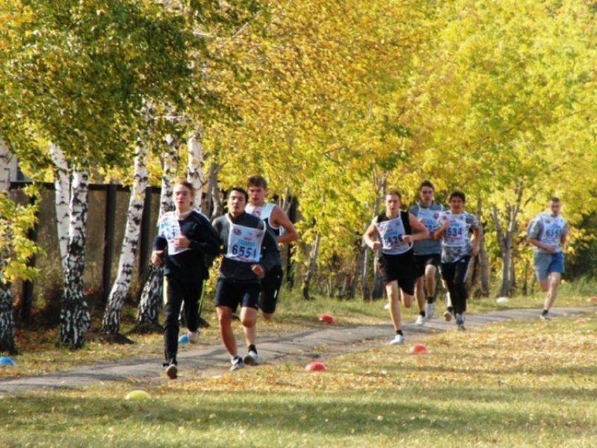 Второе место заняли таганрожцы на чемпионате и первенстве области по легкоатлетическому кроссу