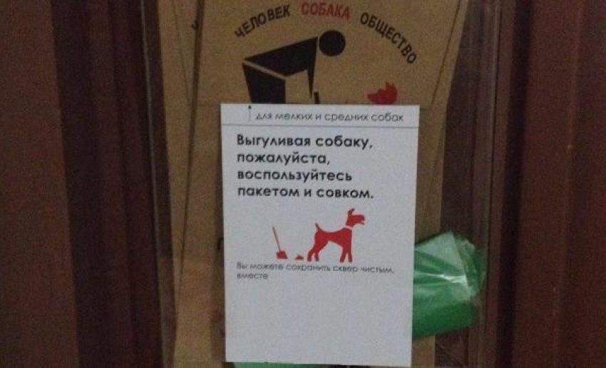 Социальный эксперимент в Таганроге по борьбе с безответственными собаководами провалился