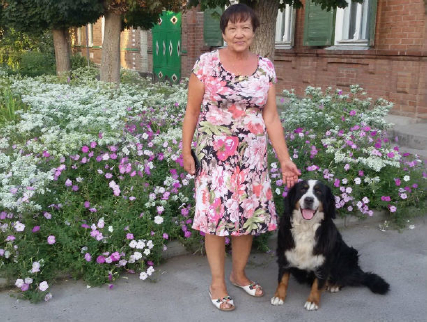 Самыми цветущими в Таганроге оказались клумбы детских садов