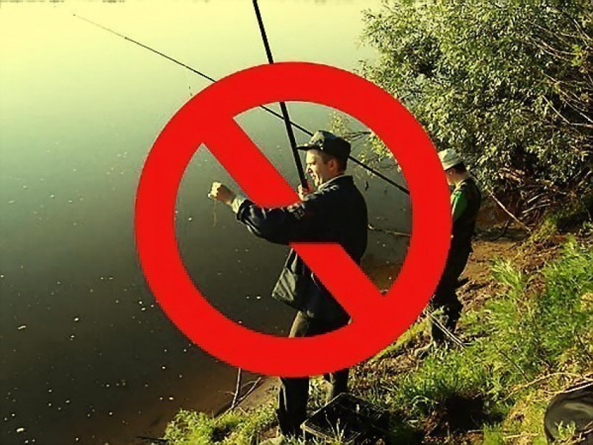 Полицейские Ростовской области задержали подозреваемых в незаконной добыче рыбы