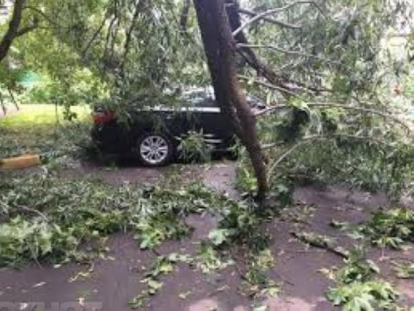 Резкое ухудшение погодных условий ждет жителей Таганрог в ближайшие часы