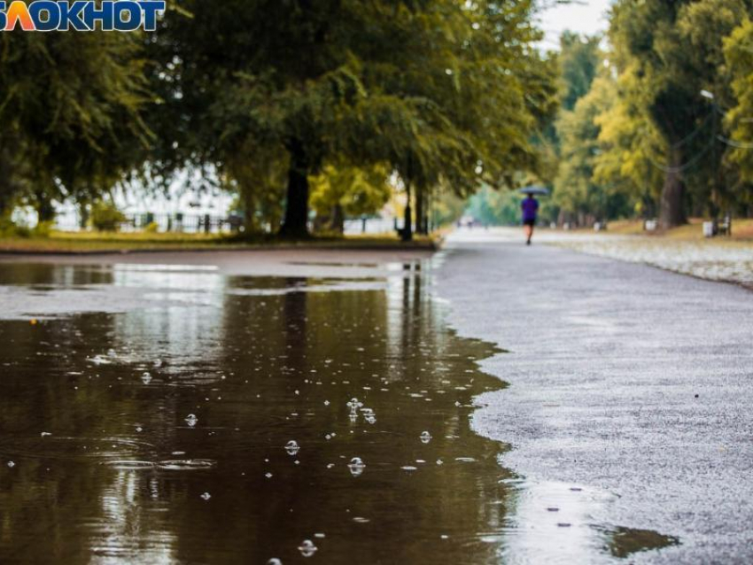 То дожди, то солнышко: прогноз погоды на рабочую неделю