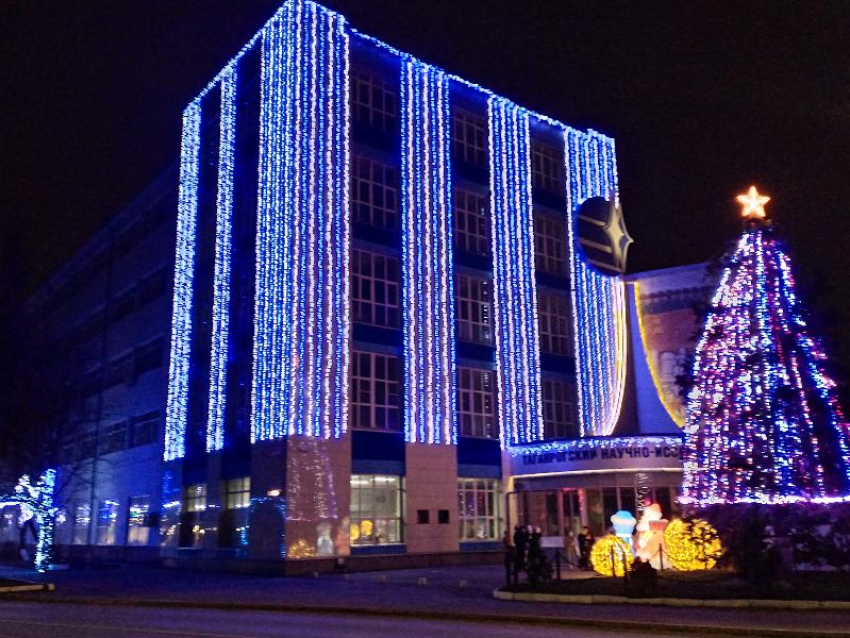 Чтобы полюбоваться самой красивой елкой Таганрога, жители едут на Западный