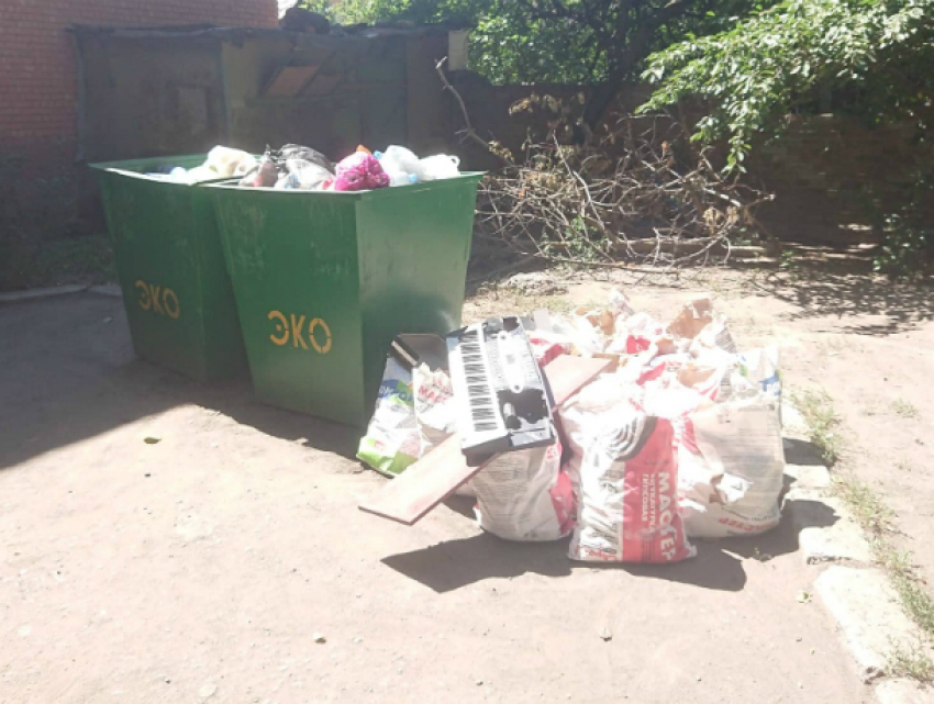 На территории депутата ЗС РО  В.Карагодина, ныне кандидата в Донской парламент,  процветают амброзия и свалки с мусором