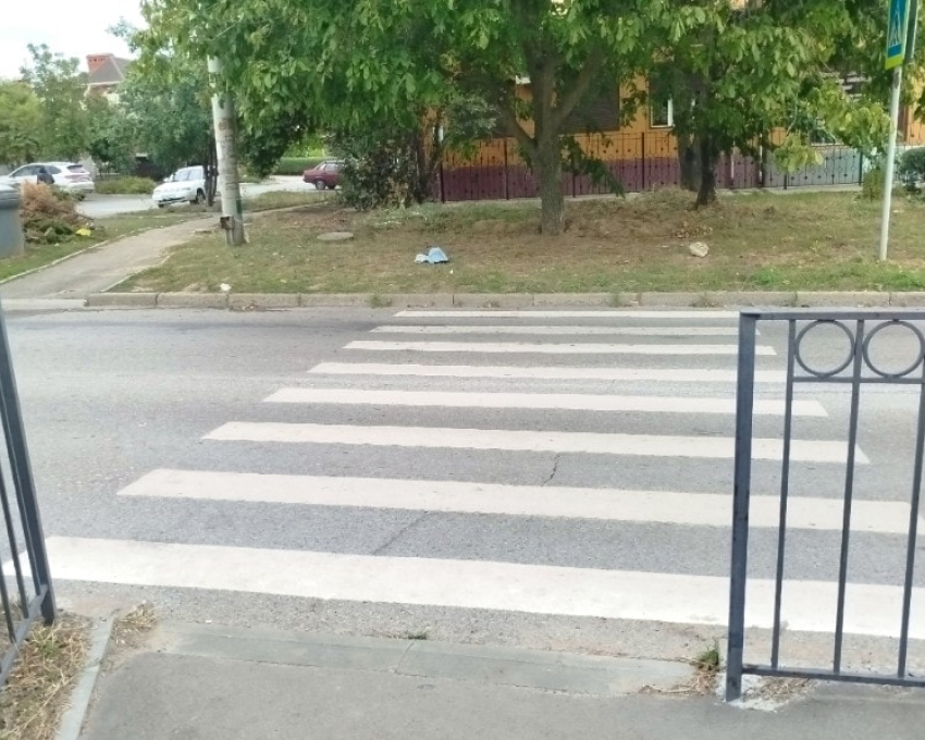 Ужасы нашего городка: зебра в Таганроге упирается почти...в огород