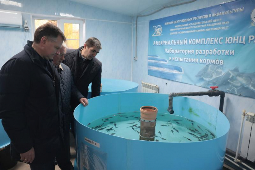 В Ростовской области обсудили проблемы и перспективы водных биоресурсов в бассейне Азовского моря