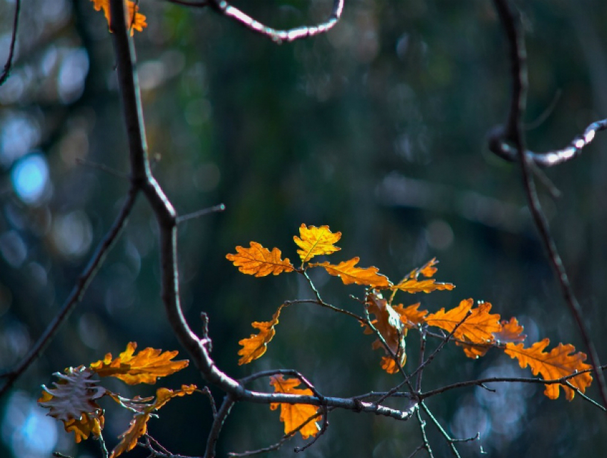 Погода в Таганроге : нас ожидают  дожди со снегом