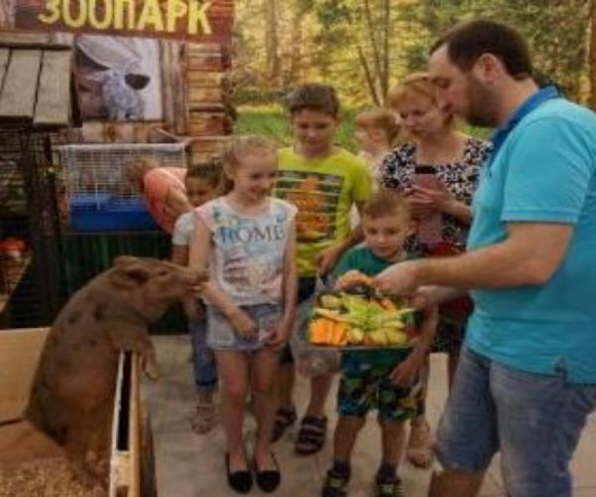 Депутаты городской Думы Таганрога сделали подарок многодетным семьям города