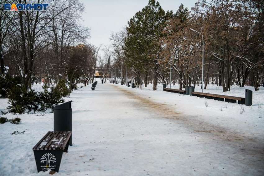 В Приморском парке Таганрога планируют установить систему видеонаблюдения за 2,4 млн рублей  