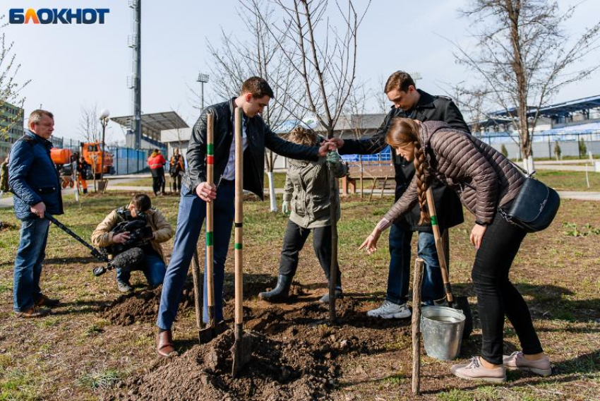 В Таганроге подведены итоги конкурса «Зеленая весна»