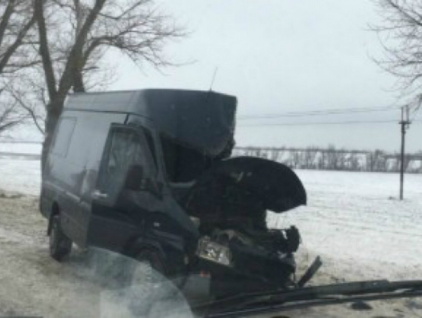 Три человека получили травмы после жуткого столкновения микроавтобуса с деревом   под Таганрогом