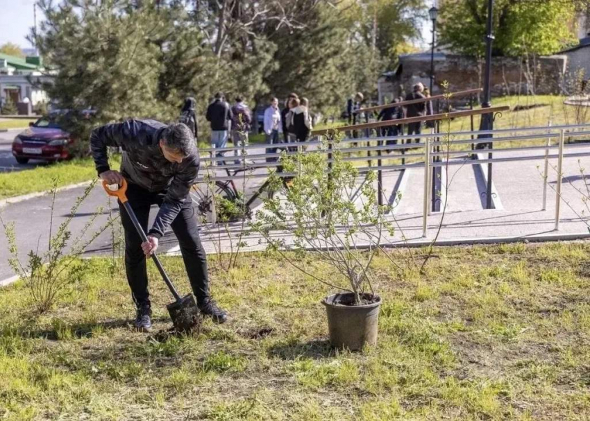 Не только прибрались, но и озеленили: как Таганрог встретил Всероссийский субботник в сквере «Почтовый»