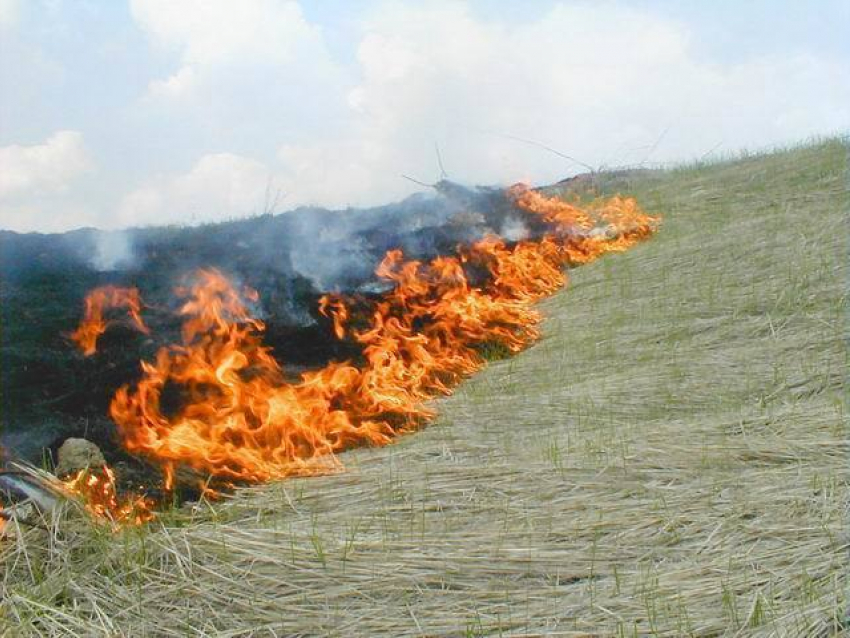 За минувшие сутки в Ростовской области зафиксирован один случай загорания сухой растительности, нарушитель наказан
