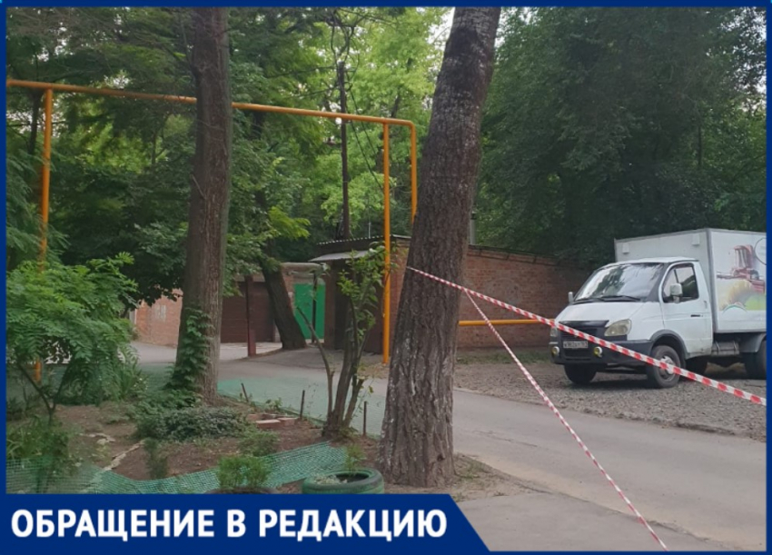 «Пока гром не грянет, мужик не перекрестится»: сухие деревья представляют угрозу для таганрожцев