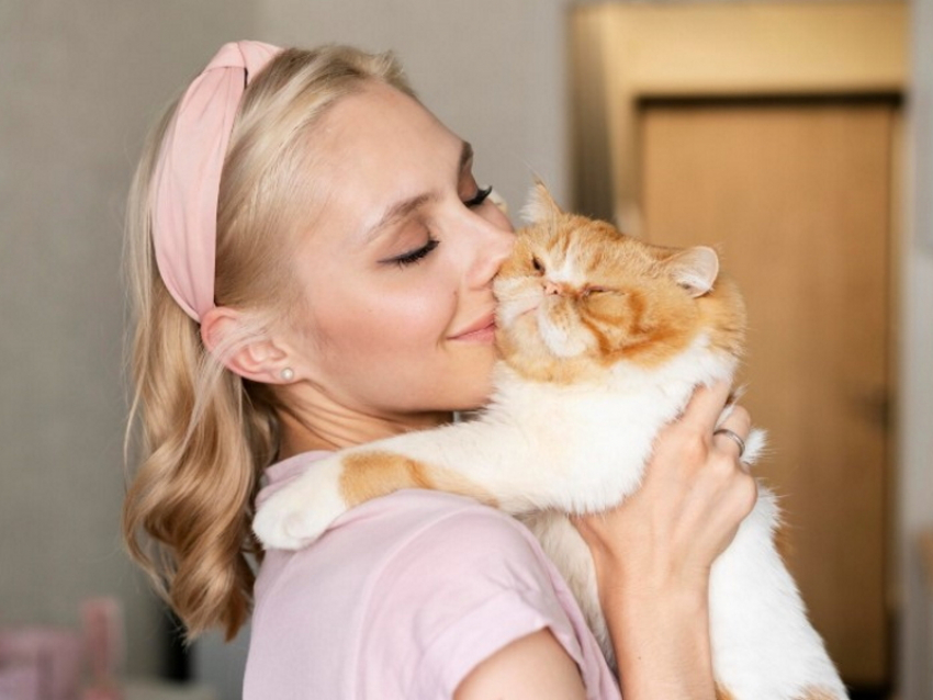 Что такое День нежности и как отмечают его 3 февраля