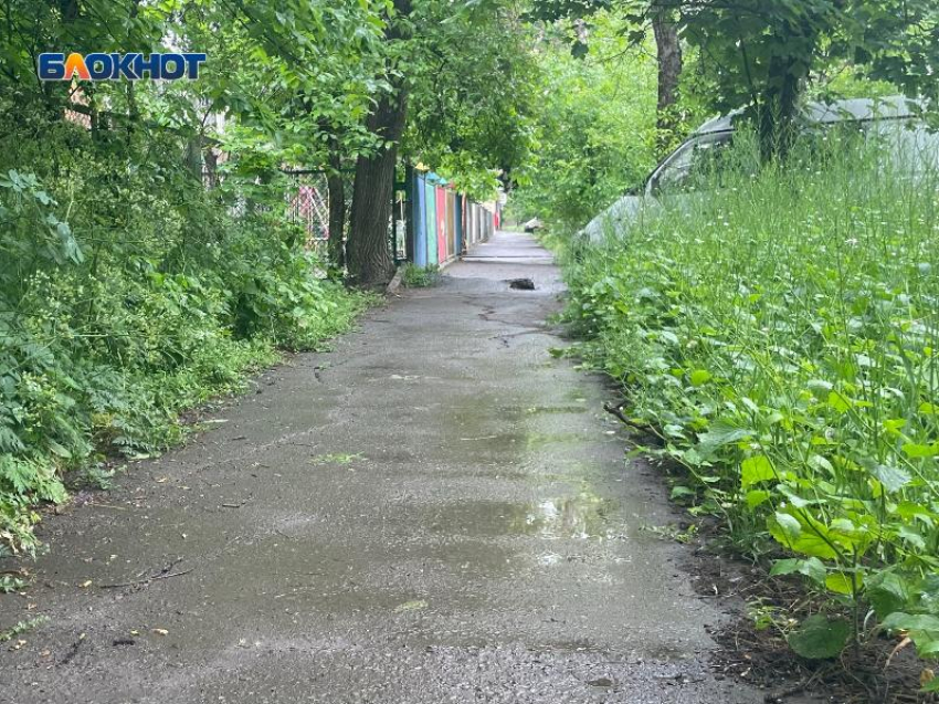 Детский сад Таганрога окружен травой по пояс 
