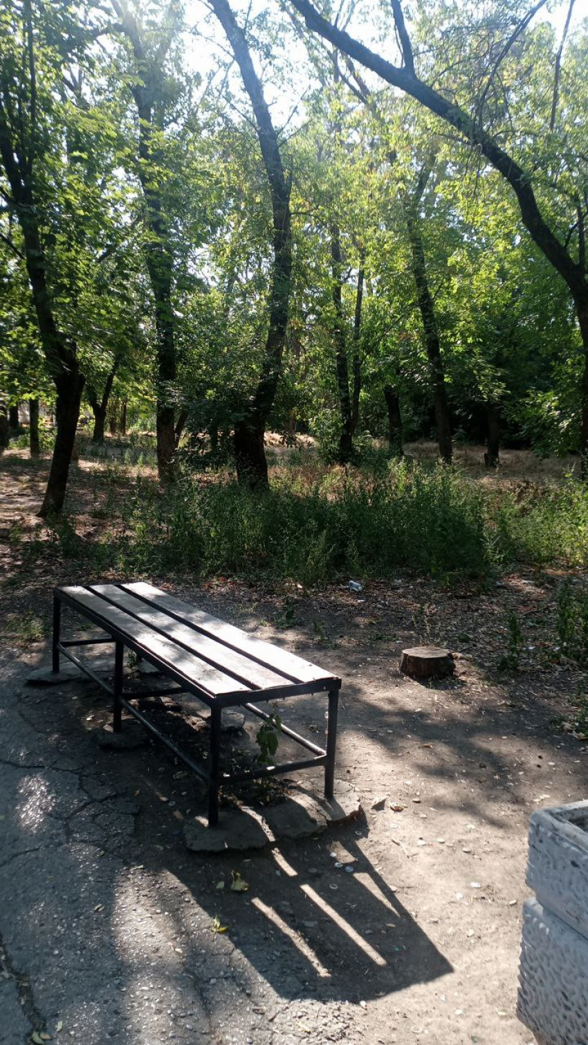 Таганрожцы интересуются судьбой сквера, победившего год назад в проекте по благоустройству