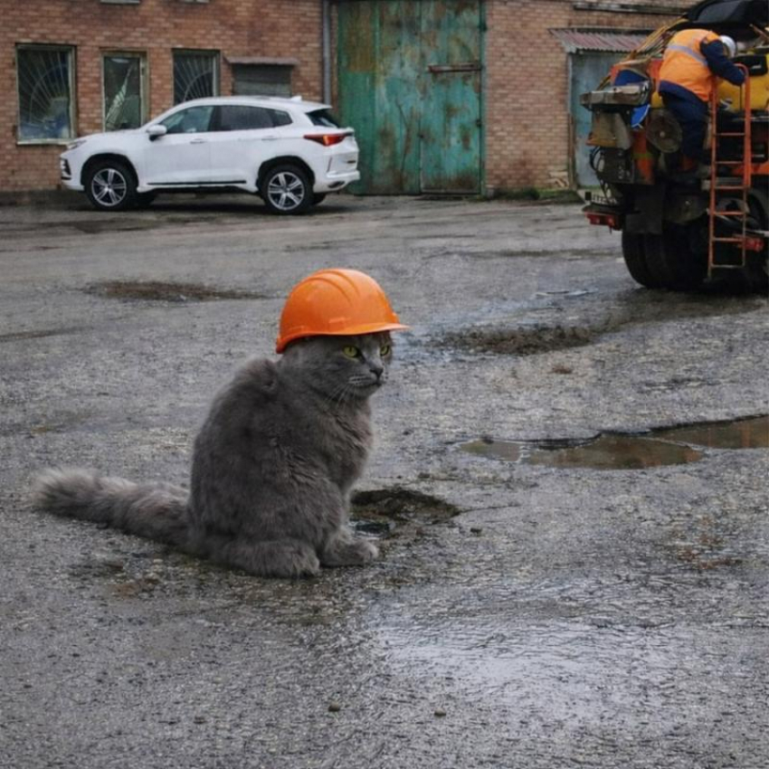 Что делать будем: администрация рассказала о планах на дороги Таганрога