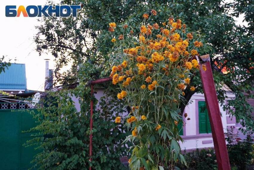 Жара возвращается: в выходные в Таганроге снова до +30°С