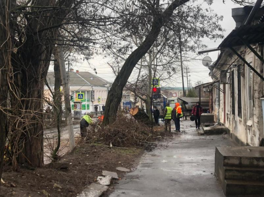 МКУ «Благоустройство» начало приводить в порядок центр Таганрога