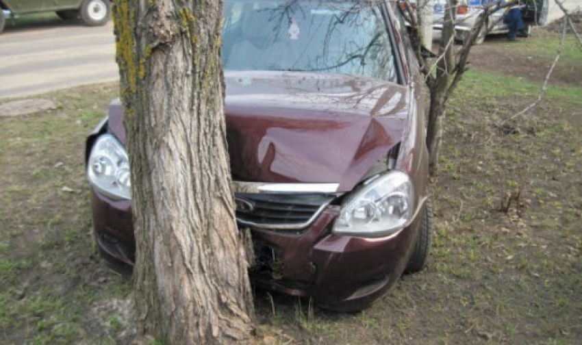 Легковушка отечественного производства врезалась в дерево, двое пострадали 