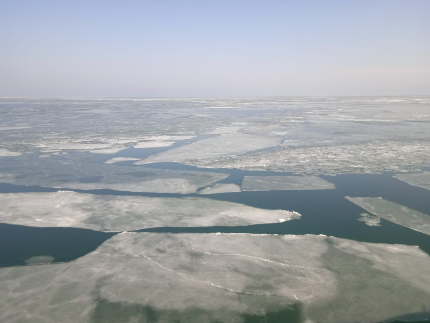 Медузы и планктон не рады:  Таганрогскийский залив и Азовское море покрылись льдом