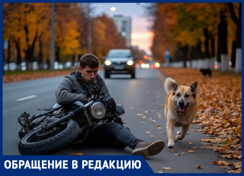 Собака сбила скутериста, таганрожца увезли в больницу