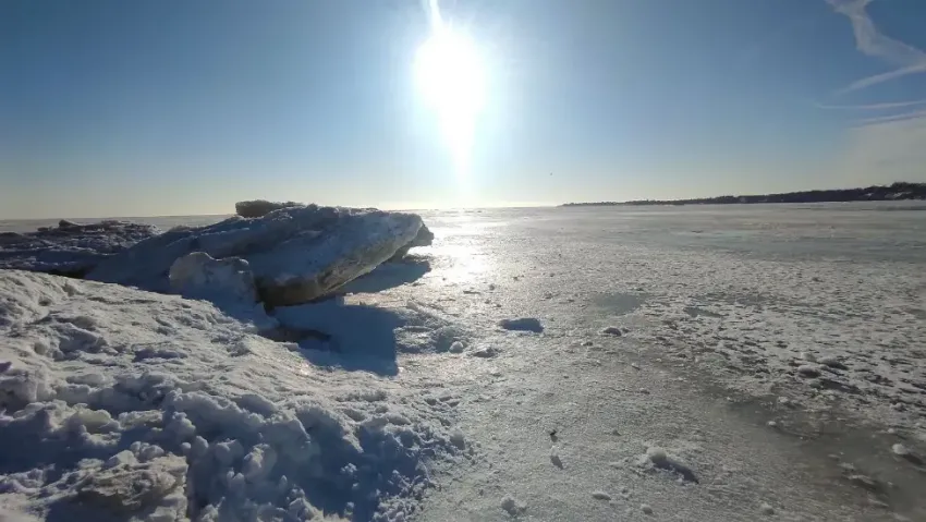 "Птички моржуют": таганроженка поделилась эффектными фотографиями зимнего пляжа