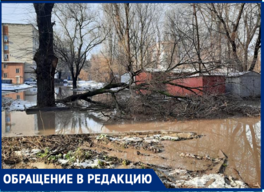 Сломанные деревья, грязь и бездорожье – снова таганрожцы жалуются на район Военного городка