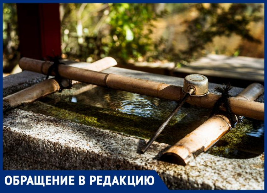 Таганрожец вывел на «чистую воду» правление своего ДНТ